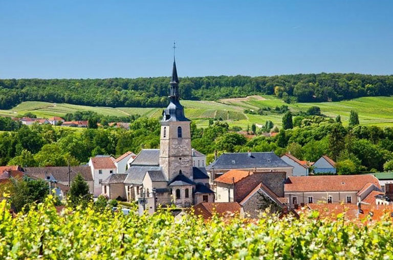 Front Tours Wine