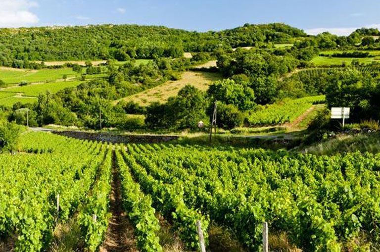 Region Pays Loire