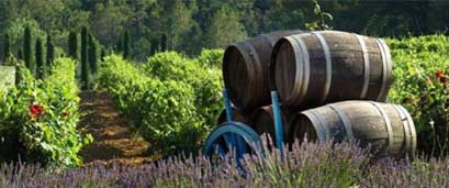 Wine Tours France